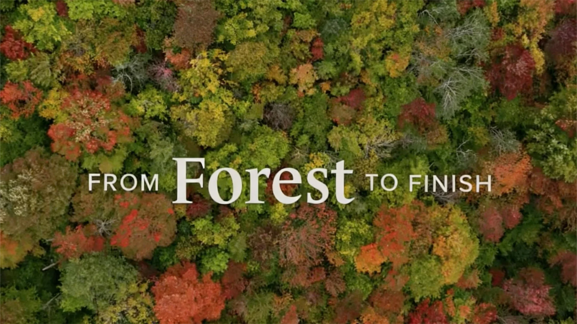 Sustainable basswood sourcing