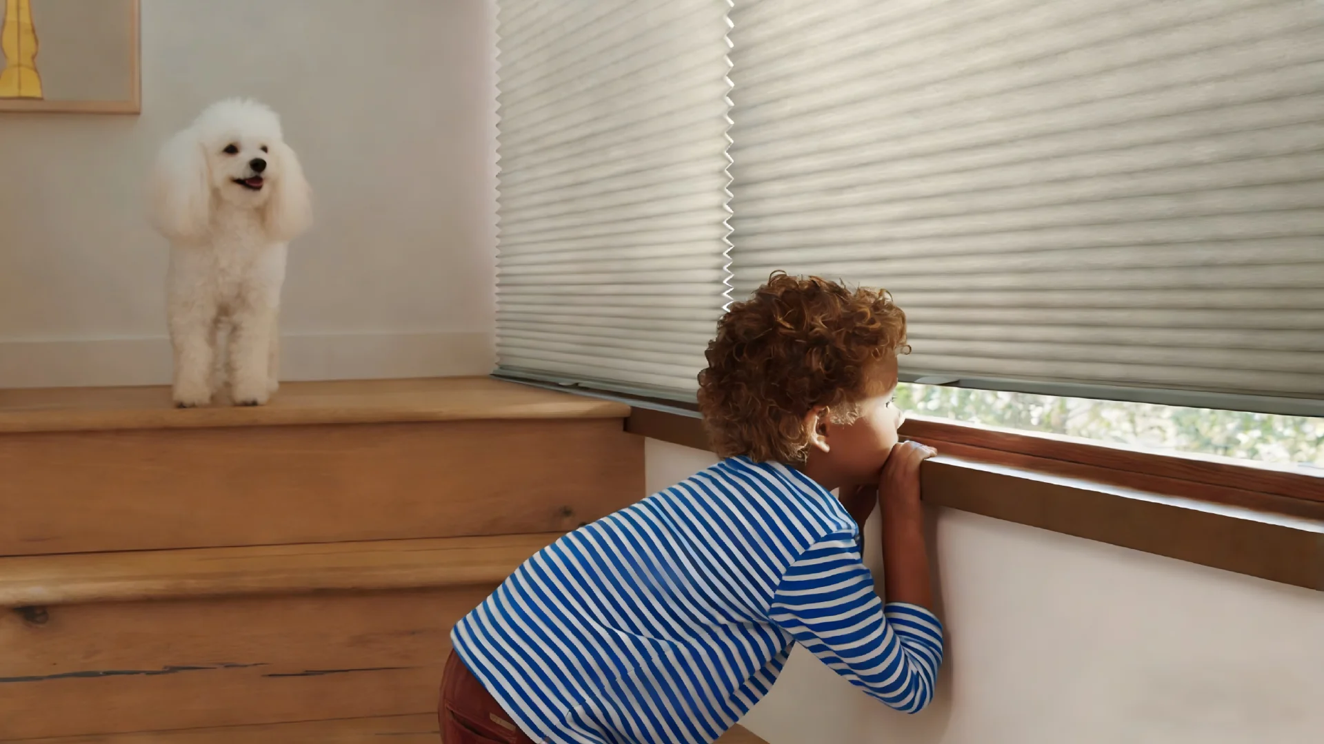 Child Safety - Cordless Window Treatment Solutions