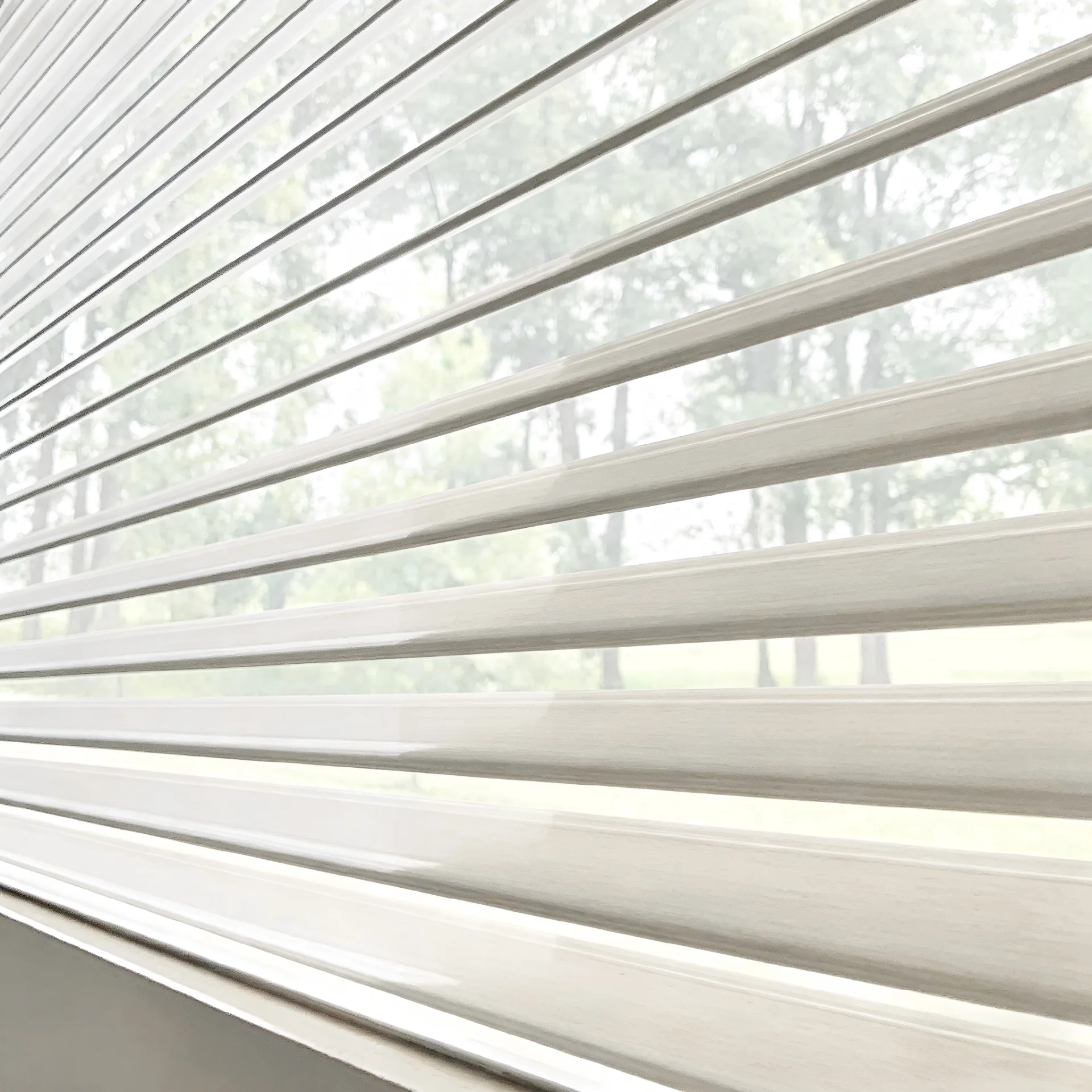 Sheer Shades Collection